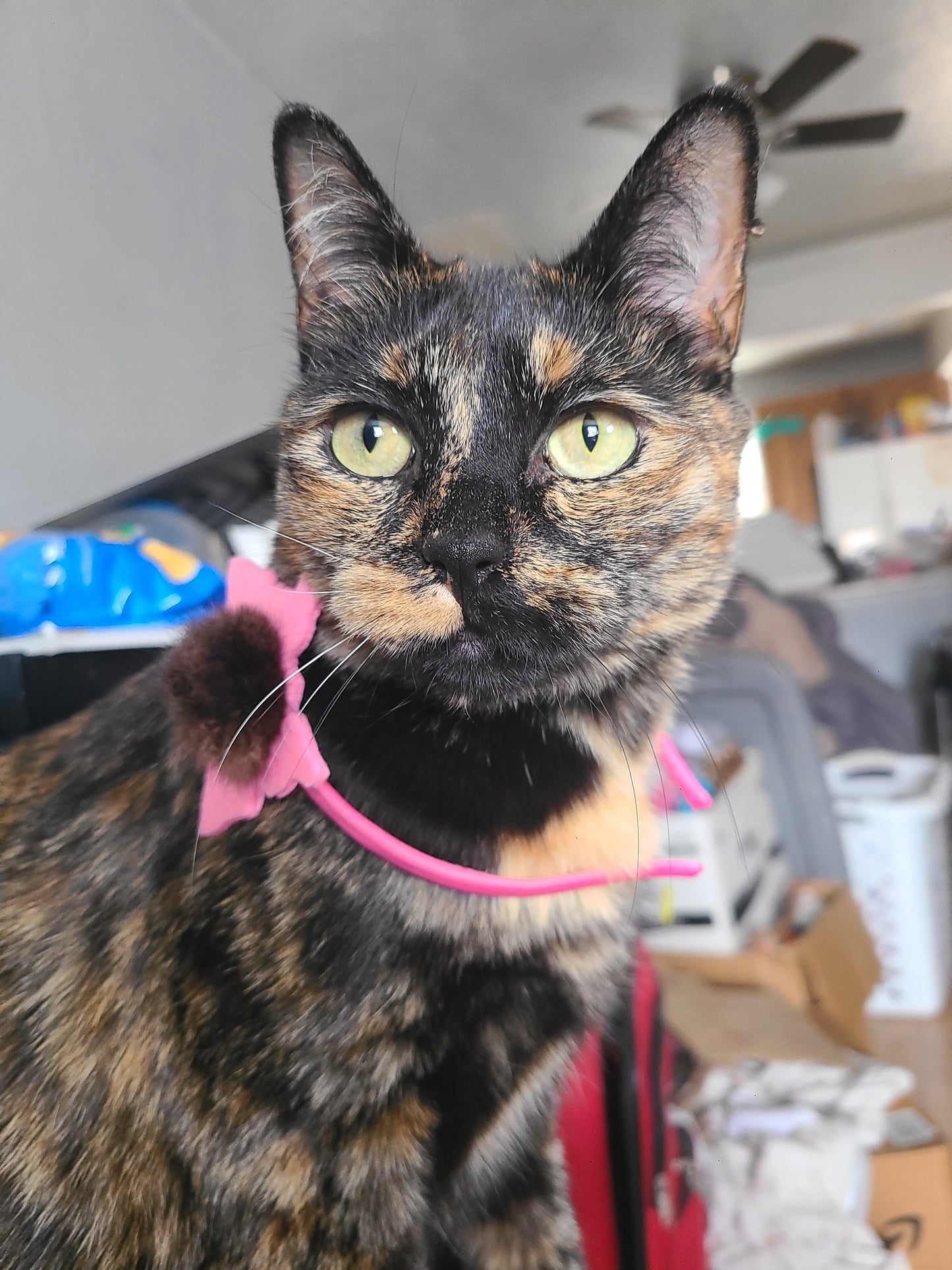Pink Butterfly Sea Otter Puffle Headband